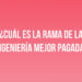 ¿Cuál es la rama de la ingeniería mejor pagada?