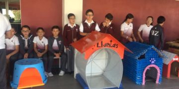 Pequeños futuros ingenieros y arquitectos construyen casitas para perritos sin hogar.