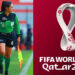 Karen Díaz:  La primer Ingeniera Mexicana en un Mundial de fútbol