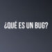 ¿Qué es un bug?