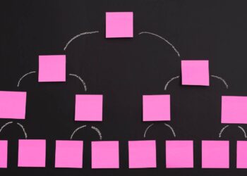 Formulación y evaluación de proyectos complejos