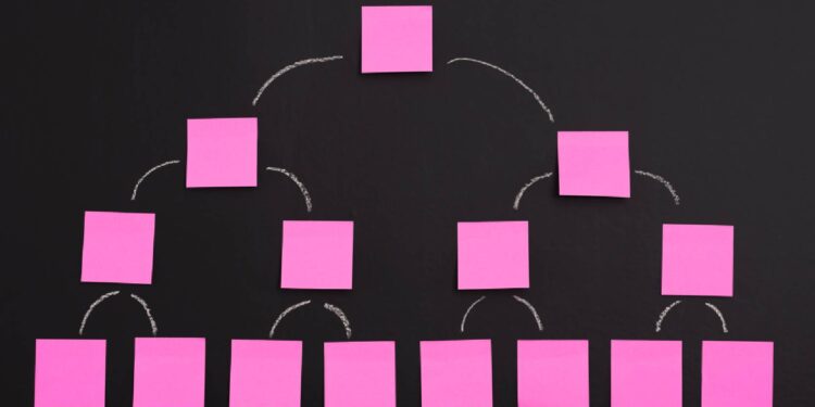 Formulación y evaluación de proyectos complejos